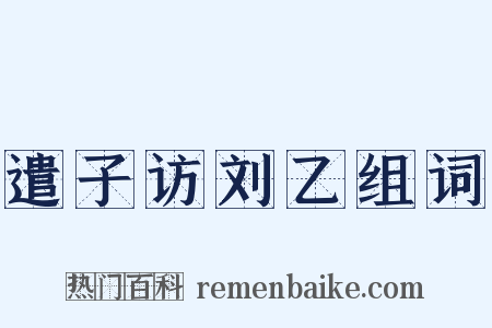 遣子访刘乙组词是什么意思的图片
